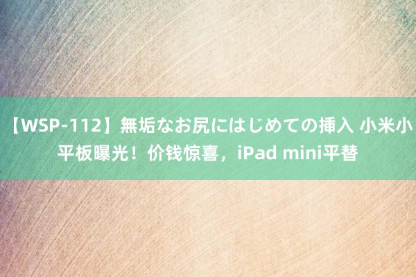 【WSP-112】無垢なお尻にはじめての挿入 小米小平板曝光！价钱惊喜，iPad mini平替