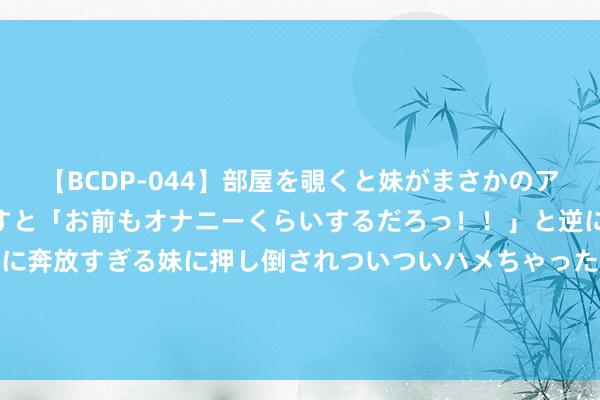 【BCDP-044】部屋を覗くと妹がまさかのアナルオナニー。問いただすと「お前もオナニーくらいするだろっ！！」と逆に襲われたボク…。性に奔放すぎる妹に押し倒されついついハメちゃった近親性交12編 “史上最大IT故障”后续：影响850万台开垦、需要数周才能确立