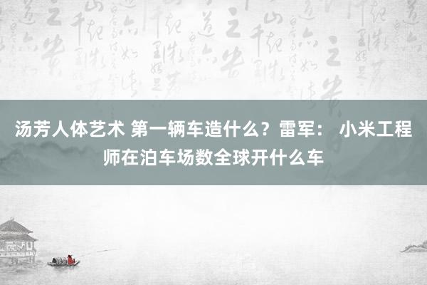 汤芳人体艺术 第一辆车造什么？雷军： 小米工程师在泊车场数全球开什么车