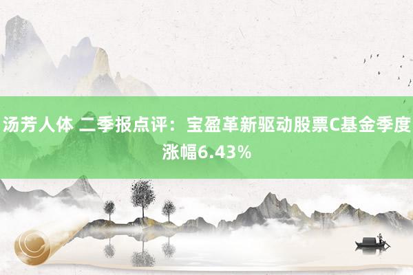 汤芳人体 二季报点评：宝盈革新驱动股票C基金季度涨幅6.43%