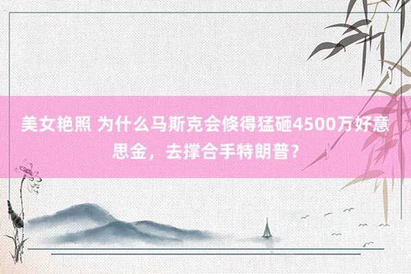 美女艳照 为什么马斯克会倏得猛砸4500万好意思金，去撑合手特朗普？