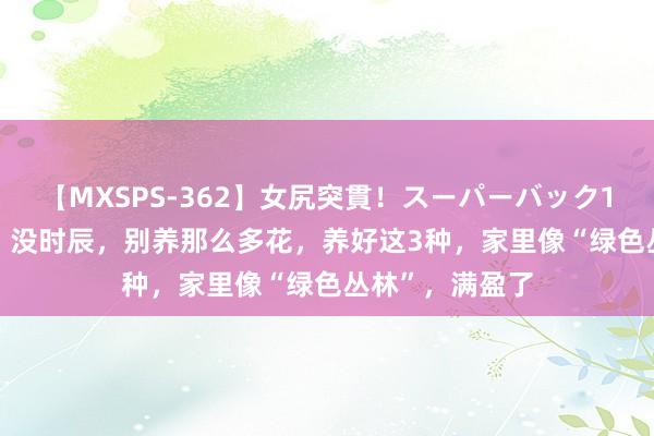 【MXSPS-362】女尻突貫！スーパーバック100本番10時間 没时辰，别养那么多花，养好这3种，家里像“绿色丛林”，满盈了