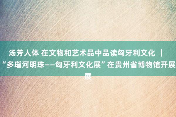 汤芳人体 在文物和艺术品中品读匈牙利文化 ｜ “多瑙河明珠——匈牙利文化展”在贵州省博物馆开展