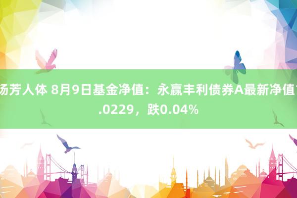 汤芳人体 8月9日基金净值：永赢丰利债券A最新净值1.0229，跌0.04%