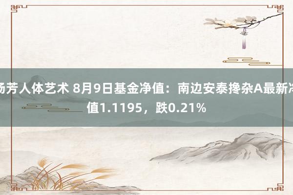 汤芳人体艺术 8月9日基金净值：南边安泰搀杂A最新净值1.1195，跌0.21%