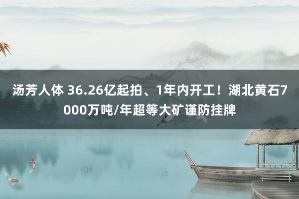 汤芳人体 36.26亿起拍、1年内开工！湖北黄石7000万吨/年超等大矿谨防挂牌