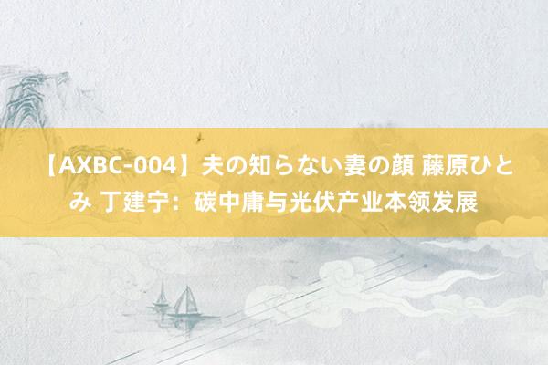 【AXBC-004】夫の知らない妻の顔 藤原ひとみ 丁建宁：碳中庸与光伏产业本领发展