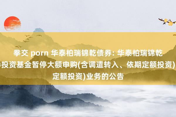 拳交 porn 华泰柏瑞锦乾债券: 华泰柏瑞锦乾债券型证券投资基金暂停大额申购(含调遣转入、依期定额投资)业务的公告