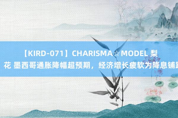 【KIRD-071】CHARISMA☆MODEL 梨々花 墨西哥通胀降幅超预期，经济增长疲软为降息铺路