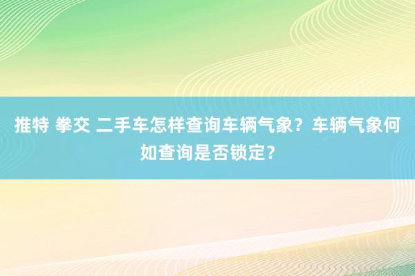 推特 拳交 二手车怎样查询车辆气象？车辆气象何如查询是否锁定？