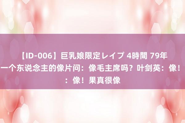 【ID-006】巨乳娘限定レイプ 4時間 79年耿飚指着一个东说念主的像片问：像毛主席吗？叶剑英：像！果真很像