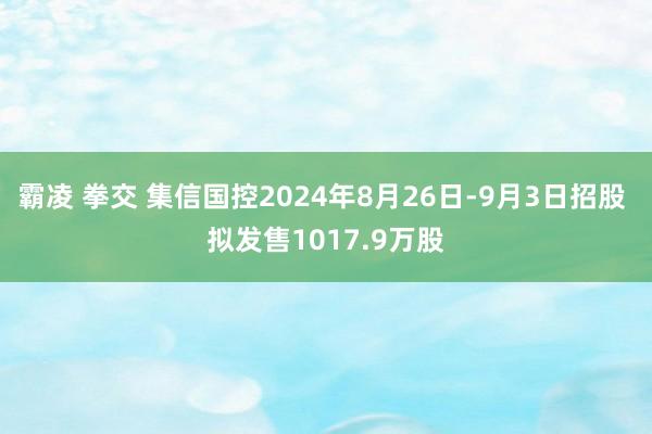 霸凌 拳交 集信国控2024年8月26日-9月3日招股 拟发售1017.9万股