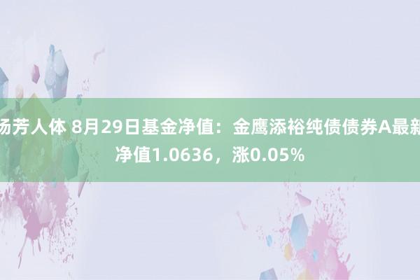 汤芳人体 8月29日基金净值：金鹰添裕纯债债券A最新净值1.0636，涨0.05%