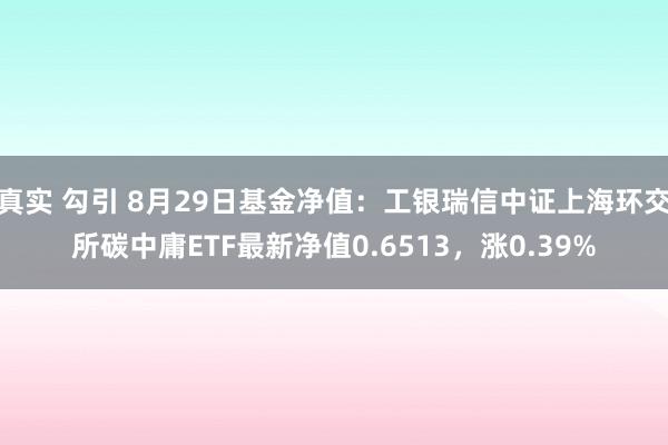 真实 勾引 8月29日基金净值：工银瑞信中证上海环交所碳中庸ETF最新净值0.6513，涨0.39%