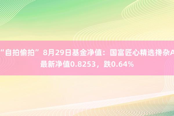 “自拍偷拍” 8月29日基金净值：国富匠心精选搀杂A最新净值0.8253，跌0.64%