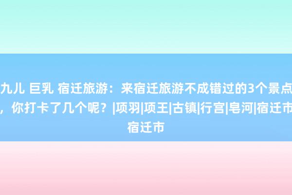 九儿 巨乳 宿迁旅游：来宿迁旅游不成错过的3个景点，你打卡了几个呢？|项羽|项王|古镇|行宫|皂河|宿迁市