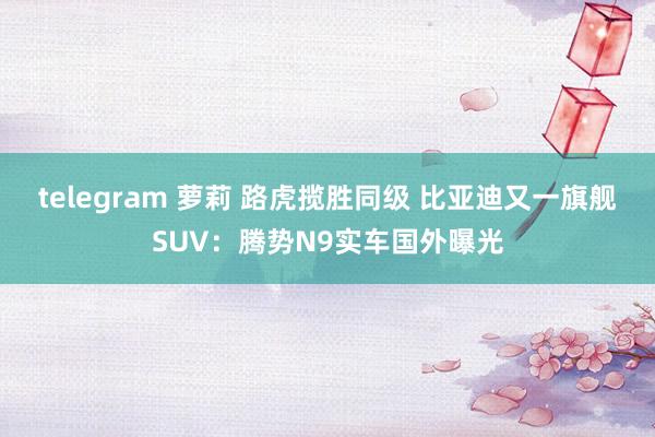 telegram 萝莉 路虎揽胜同级 比亚迪又一旗舰SUV：腾势N9实车国外曝光