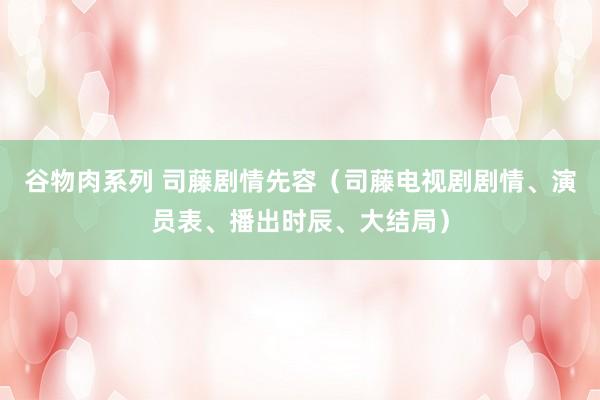 谷物肉系列 司藤剧情先容（司藤电视剧剧情、演员表、播出时辰、大结局）