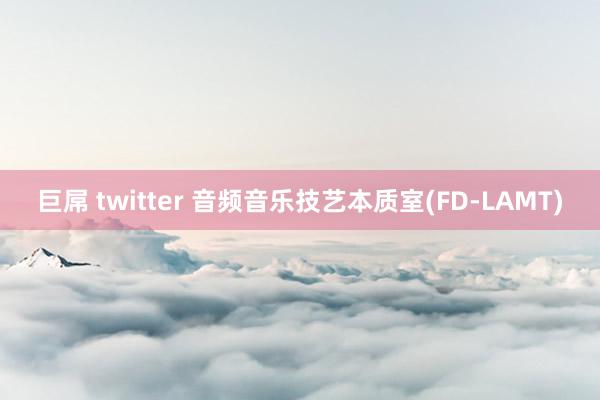 巨屌 twitter 音频音乐技艺本质室(FD-LAMT)