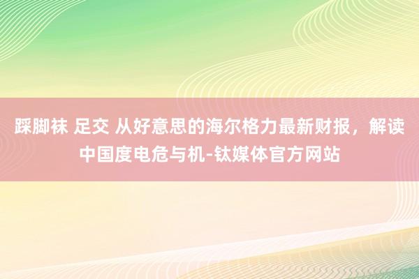 踩脚袜 足交 从好意思的海尔格力最新财报，解读中国度电危与机-钛媒体官方网站