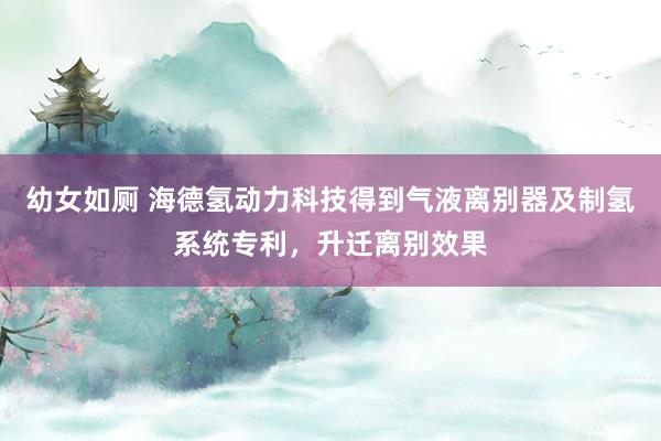 幼女如厕 海德氢动力科技得到气液离别器及制氢系统专利，升迁离别效果